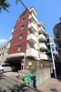 ドムス セラシィの画像