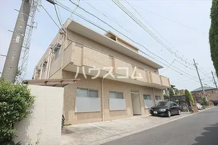 シャロームの画像
