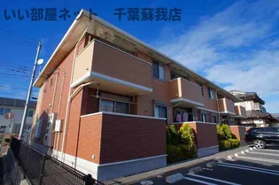 ラベンダーの画像