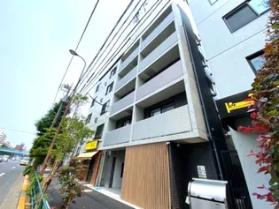 ソリドア蓮根の画像