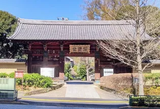 ヒルズ目白台【3階】の周辺