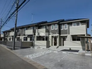 ルピナスの画像