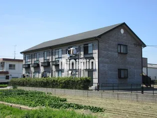 アムール雅の画像