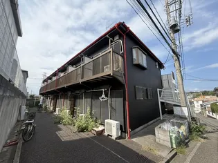 コートカメリアの画像