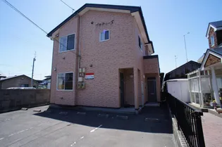 プラティーヌの画像