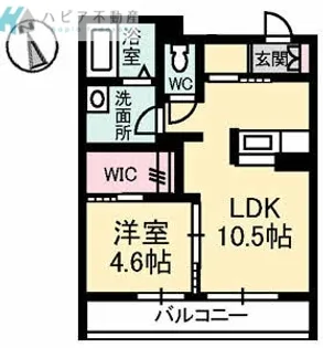 massimo三番町【2階】の間取り