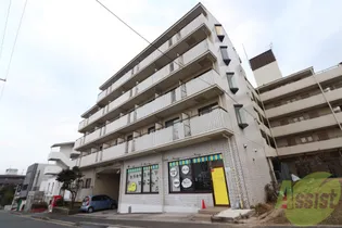ジュネスタチバナの画像