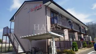 コートエンジェルの画像