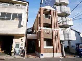 ステラ コートの画像