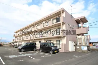 サンライズ金田の画像