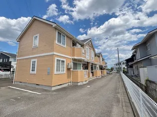 プリムローズの画像