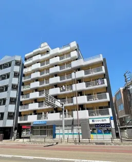 イーストヴィレッジマンション【7階】の外観