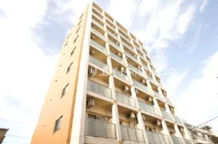 ケヤキ グランデの画像