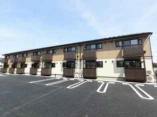 シェーナの画像