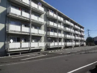 クラウンズマンション天川大島の画像