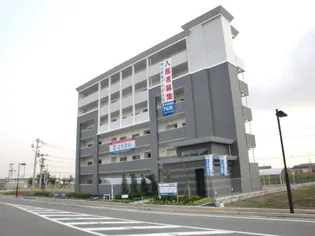 エグゼクティブ フィーリアの画像