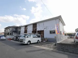 ピネージュの画像