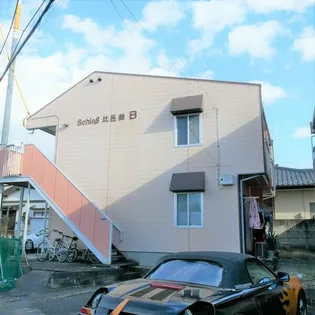 シュロス比呂美Bの画像