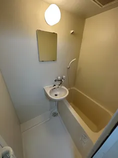 ウォーターフロント礎町【10階】の風呂