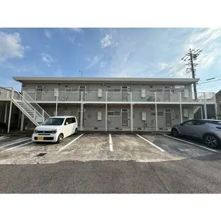 プリムローズ21の画像