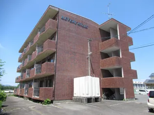 BEVERY HILLSの画像