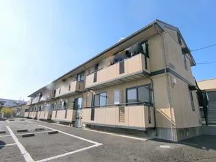 エレファントファイブの画像