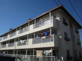 ジュネパレスオオクマの画像