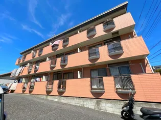 ペガサスの画像