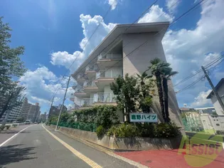 鹿野ハイツ【4階】の外観