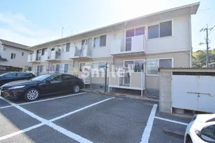 プレジールカトレアの画像