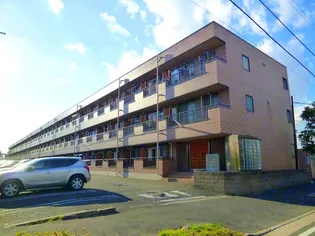 CLEO MAIHAMA 2の画像