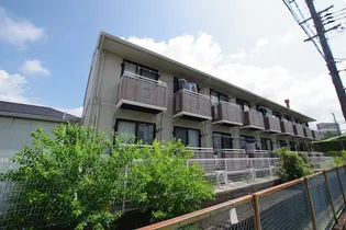 ヴァン メゾンの画像