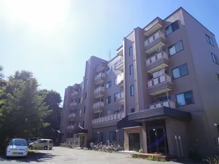 カネヒラビルの画像