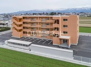 ドリームフェリオの画像