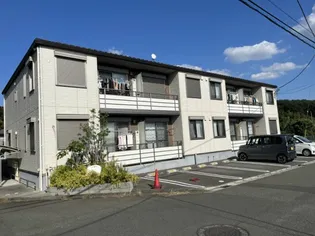 ベレーザの画像