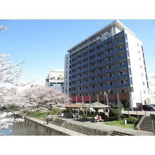 サクラーレの画像