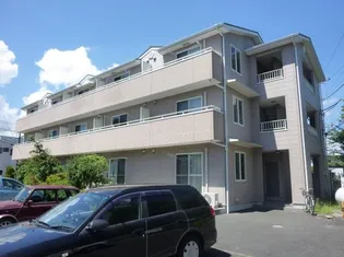 ピュアコート すみれの画像