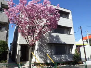 東京都中野区江古田1【マンション】の外観