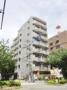 ベルグラン プルーネの画像