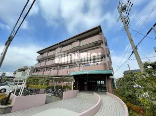 フリューリンク10【2階】の外観