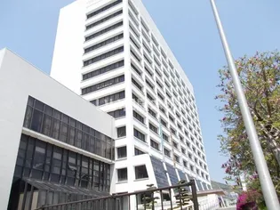 ルネス住吉【7階】の周辺