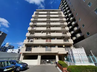 セントポーリア アビコの画像