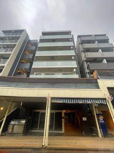 PAULOWNIAVALLEYーTAKE12大口通の画像