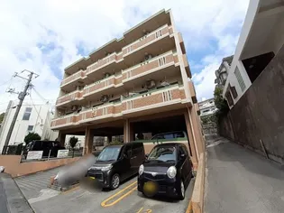 美ら なーぐしくTNの画像