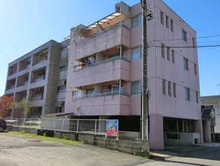 エグゼクティブ22の画像