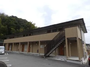 スプルース順の画像