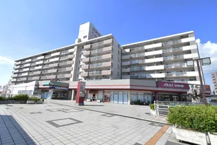 URパルネス前後の画像