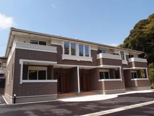 スターヒルAの画像