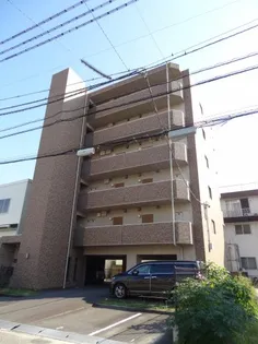 ドマーニ葛島の画像