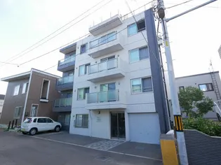 大白桜55の画像